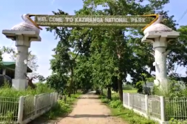  শনিবাৰে সন্ধিয়া কৰ্তব্যৰত বনকৰ্মীয়ে মৃত গঁড়টো প্ৰত্যক্ষ কৰে 