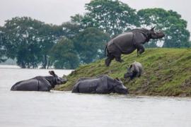 বিস্তীৰ্ণ অঞ্চল