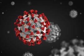 ৰাজ্যত পুনৰ ৫৬৮জনৰ দেহত ধৰা পৰে কোভিড-১৯।