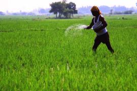 কৃষকসকলৰ কল্যাণৰ বাবে ১লাখ কোটি টকাৰ আচঁনিৰ শুভাৰম্ভ