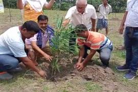 Bamboo Revolution begins in BTR Mathambil