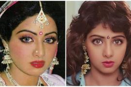 Let's know a few things not known about the charming actress Sridevi!