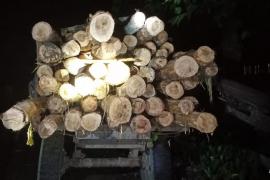 Forest department's drive against smuggling