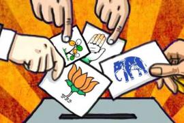 election