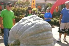 Pumkin