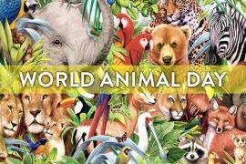 World Animal Day