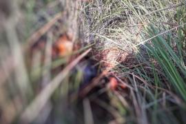 Body of unidentified person