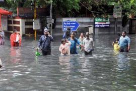 Tamilnadu rainfall