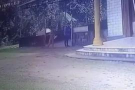 Acid Attack
