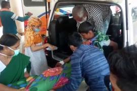 Tiger Terror in Dalgaon, 14 years old severely injured