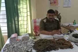Sivasagar Drugs