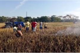 kamrup-paddy-field-fire