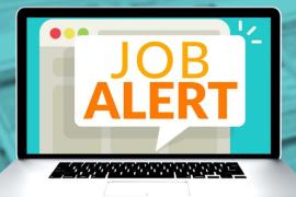 Job Alert