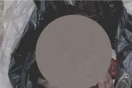 New Born Baby found Dead