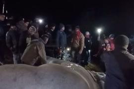 Nagaon Elephant Death