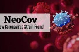 Neo Cov