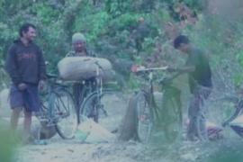 কাকৈ সংৰক্ষিত বনাঞ্চলত চলিছে এচিয়াৰ বিখ্যাত চিয়া নাহৰৰ ধ্বংস যজ্ঞ