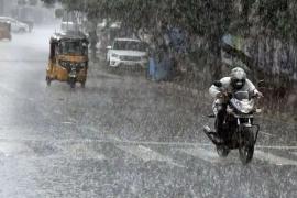 Heavy Rain