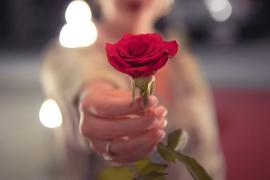 Rose Day
