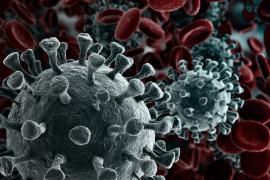 Corona Virus