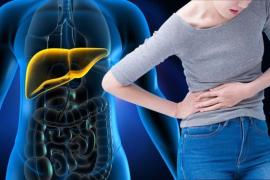 Liver