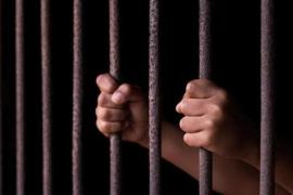Rajasthan High Court grants parole to convict after his wife expresses desire to have children
