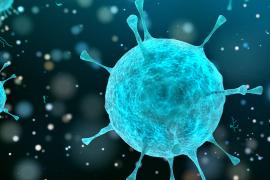 Corona Virus