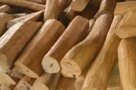White Sandalwood