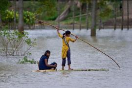 Assam Flood