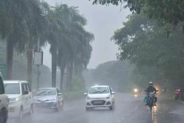 Heavy Rain