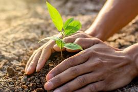 World-Environment-Day 2022