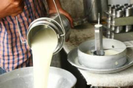 Milk