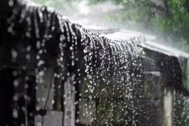 lightly Rain