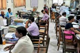 Govt Employees