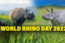 World Rhino Day 2022