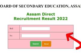 Assam Direct Recruitment Exam results