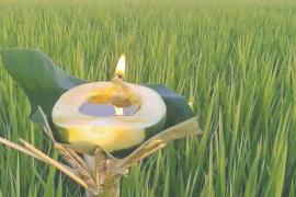Kati Bihu