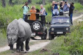 Kaziranga National Park