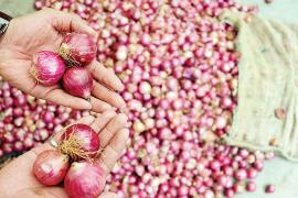 Onion Price Hike