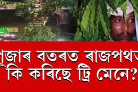 tree man in guwahati 