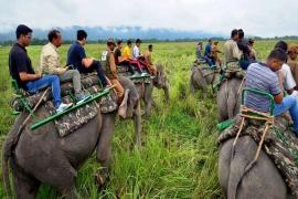 Kaziranga National Park 