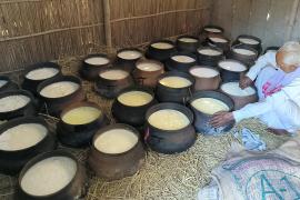Bihu
