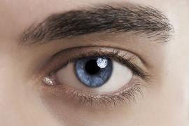Eye
