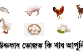 Magh Bihu