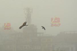 Airpollution