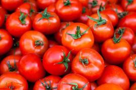 Tomato