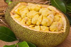 Jackfruit