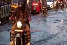 Flood 