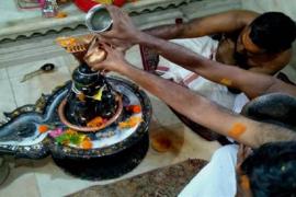 shiv