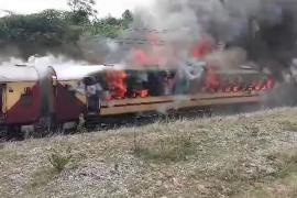 train